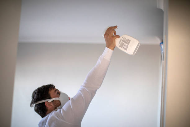 Best Insurance-Related Mold Remediation in Lexington, WA